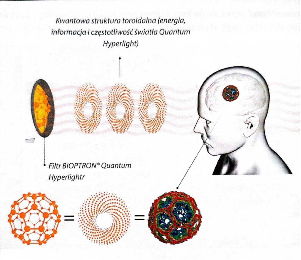 kwantowa struktura toroidalna