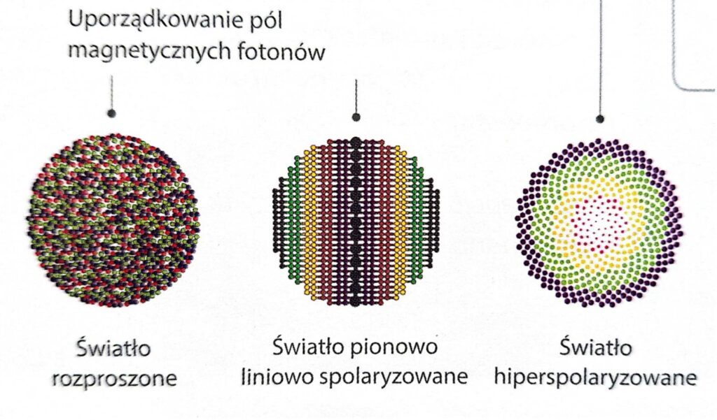 uporzadkowanie pol magnetycznych